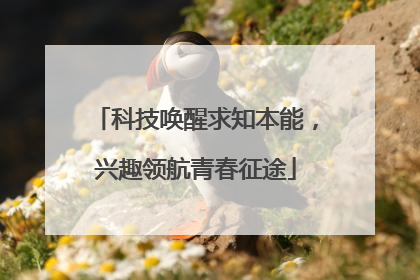 科技唤醒求知本能，兴趣领航青春征途