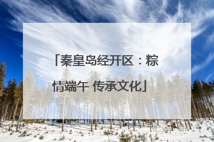 秦皇岛经开区：粽情端午 传承文化