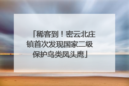 稀客到！密云北庄镇首次发现国家二级保护鸟类凤头鹰