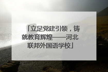 立足党建引领，铸就教育辉煌——河北联邦外国语学校