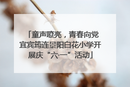 童声嘹亮，青春向党 宜宾筠连景阳白花小学开展庆“六·一”活动