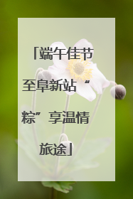 端午佳节至阜新站“粽”享温情旅途
