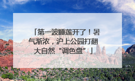 第一波睡莲开了！暑气渐浓，沪上公园打翻大自然“调色盘”