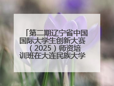 第二期辽宁省中国国际大学生创新大赛（2025）师资培训班在大连民族大学成功举办