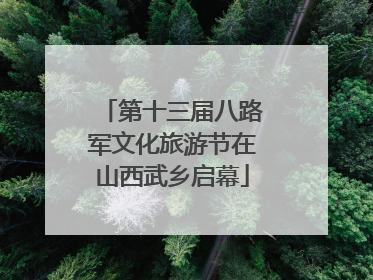 第十三届八路军文化旅游节在山西武乡启幕