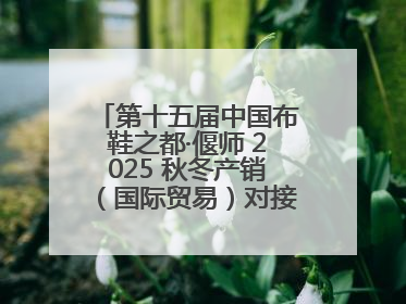 第十五届中国布鞋之都·偃师 2025 秋冬产销（国际贸易）对接会隆重开幕