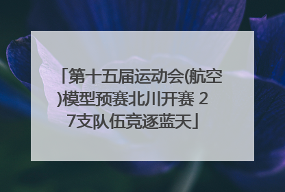第十五届运动会(航空)模型预赛北川开赛 27支队伍竞逐蓝天