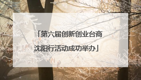第六届创新创业台商沈阳行活动成功举办