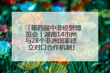第四届中非经贸博览会丨湖南14市州与28个非洲国家建立对口合作机制