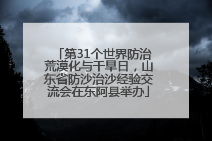 第31个世界防治荒漠化与干旱日，山东省防沙治沙经验交流会在东阿县举办