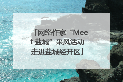 网络作家“Meet 盐城”采风活动走进盐城经开区