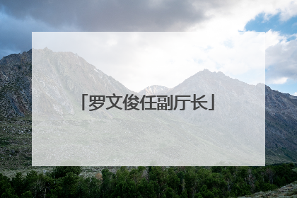 罗文俊任副厅长