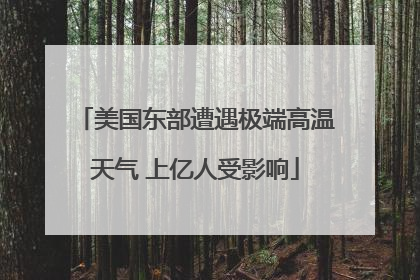 美国东部遭遇极端高温天气 上亿人受影响