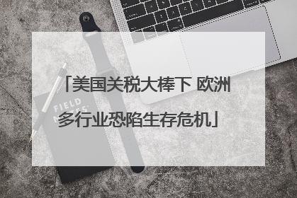 美国关税大棒下 欧洲多行业恐陷生存危机