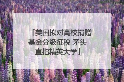 美国拟对高校捐赠基金分级征税 矛头直指精英大学