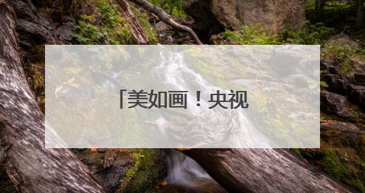美如画！央视总台知名主持人来泉簪花……