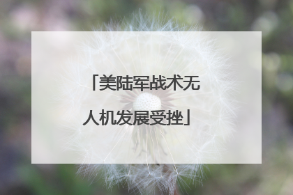 美陆军战术无人机发展受挫