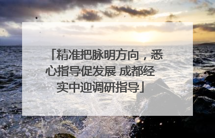 精准把脉明方向，悉心指导促发展 成都经实中迎调研指导