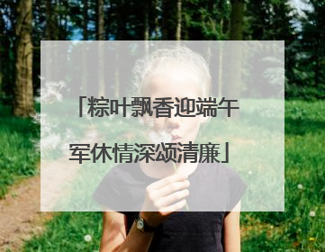 粽叶飘香迎端午 军休情深颂清廉