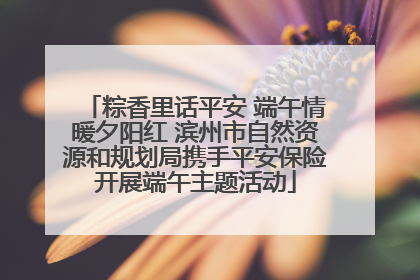 粽香里话平安 端午情暖夕阳红 滨州市自然资源和规划局携手平安保险开展端午主题活动