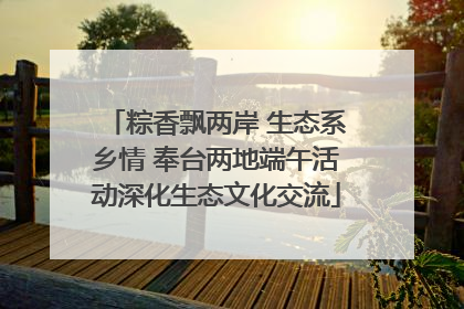 粽香飘两岸 生态系乡情 奉台两地端午活动深化生态文化交流