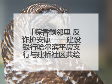 粽香飘邻里 反诈护安康——建设银行哈尔滨平房支行与建桥社区共绘端午温情画卷