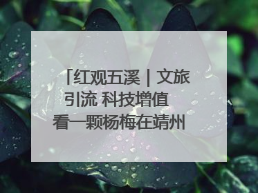 红观五溪｜文旅引流 科技增值 看一颗杨梅在靖州的“商业觉醒”