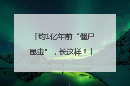 约1亿年前“僵尸昆虫”，长这样！