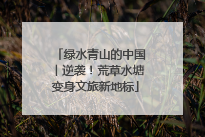 绿水青山的中国丨逆袭！荒草水塘变身文旅新地标