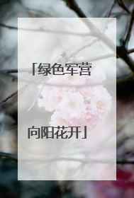 绿色军营 向阳花开