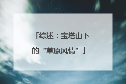 综述：宝塔山下的“草原风情”