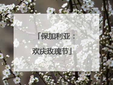 保加利亚：欢庆玫瑰节