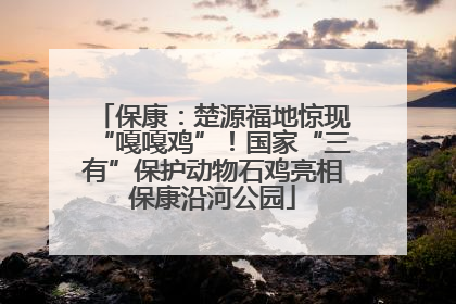 保康：楚源福地惊现“嘎嘎鸡”！国家“三有”保护动物石鸡亮相保康沿河公园
