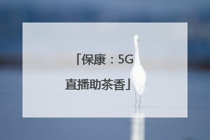 保康：5G直播助茶香