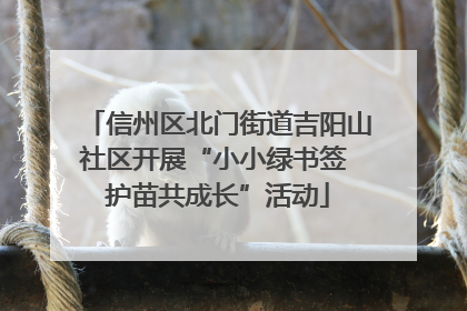 信州区北门街道吉阳山社区开展“小小绿书签 护苗共成长”活动