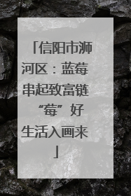 信阳市浉河区：蓝莓串起致富链 “莓”好生活入画来