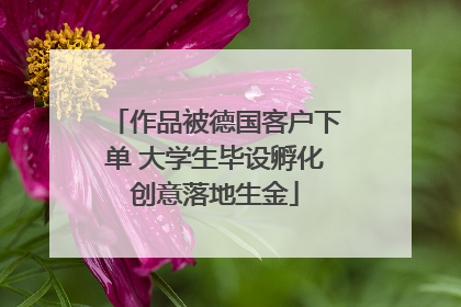 作品被德国客户下单 大学生毕设孵化创意落地生金