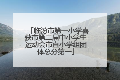 临汾市第一小学喜获市第二届中小学生运动会市直小学组团体总分第一