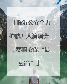 临沂公安全力护航万人演唱会，奏响安保“最强音”