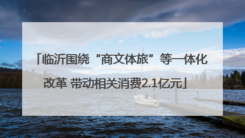 临沂围绕“商文体旅”等一体化改革 带动相关消费2.1亿元