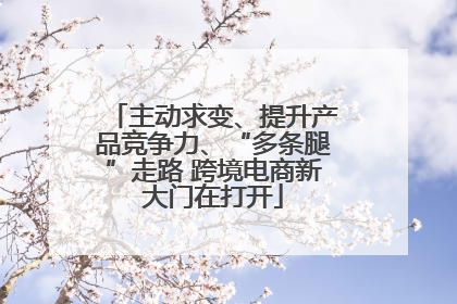 主动求变、提升产品竞争力、“多条腿”走路 跨境电商新大门在打开