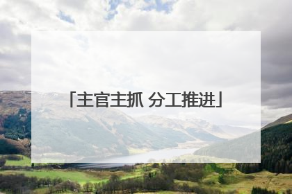 主官主抓 分工推进