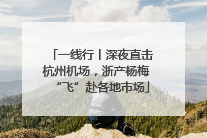 一线行丨深夜直击杭州机场，浙产杨梅“飞”赴各地市场