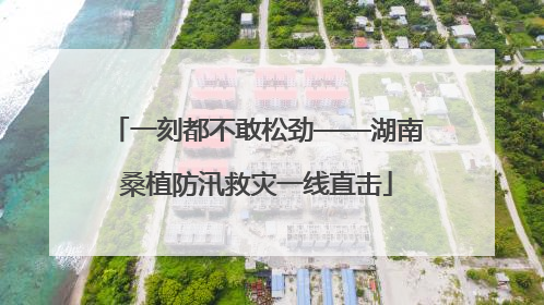一刻都不敢松劲——湖南桑植防汛救灾一线直击