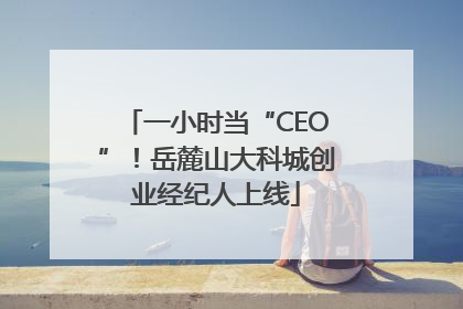 一小时当“CEO”！岳麓山大科城创业经纪人上线