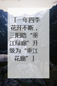 一年四季花开不断，三阳路“垂江绿廊”升级为“垂江花廊”