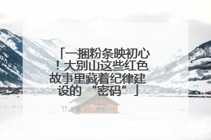 一捆粉条映初心！大别山这些红色故事里藏着纪律建设的 “密码”