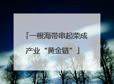 一根海带串起荣成产业“黄金链”