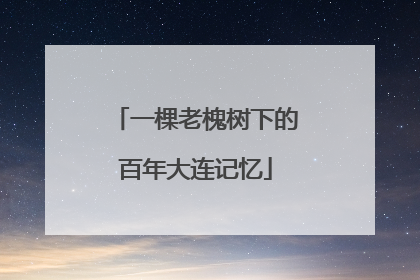 一棵老槐树下的百年大连记忆