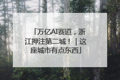万亿AI赛道，浙江押注第二城！｜这座城市有点东西